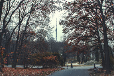 Pathway along trees in park