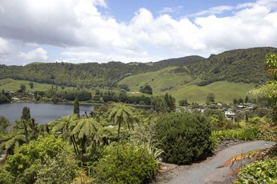 Scenic view of agricultural landscape against sky