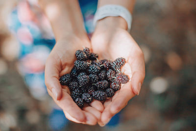 Closeup of human hands with fresh ripe summer berries. handful of black mulberries. farmer 