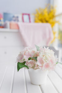 Close-up of pink flowers in vase on table at home