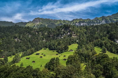 Landscape and nature at wengen in lauterbrunnen valley, switzerland