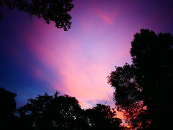 Low angle view of silhouette trees against sky at night