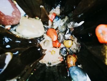 Close-up of food in water