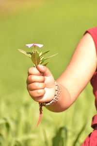 Close-up of hand holding plant