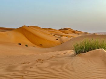 sand dune