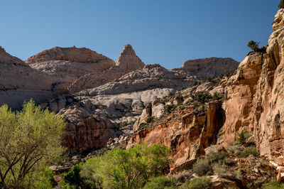 Red cliffs and green cottonwood trees at capitol reef national park, utah.
