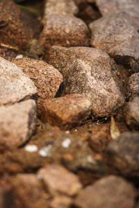 Close-up of rocks