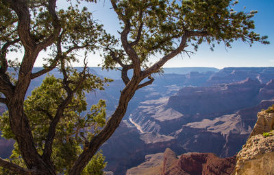 Scenic view of tree mountains against sky