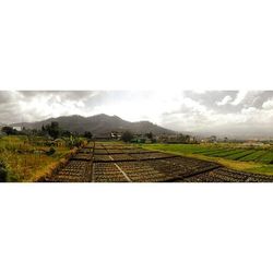 Scenic view of field against sky