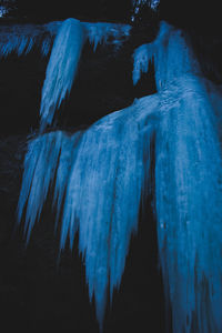 Close-up of blue ice