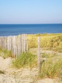 Scenic view of beach against clear sky