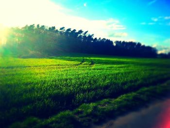 Scenic view of field against cloudy sky