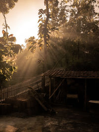 Footbridge amidst trees against sky during sunset