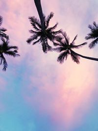 Low angle view of palm tree against sky