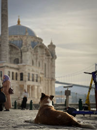 Ortakoy mosque