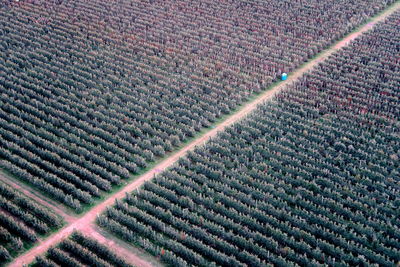 Full frame shot of agricultural field