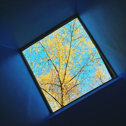 Low angle view of tree against sky