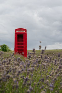 Red phone booth in a lavander field