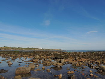 Scenic view of sea against blue sky