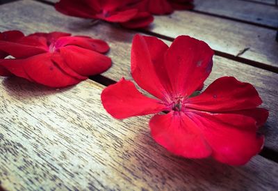 Close-up of red hibiscus on table