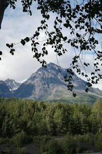 Scenic view of mountains