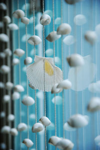 Close-up of white seashells decorations hanging at home