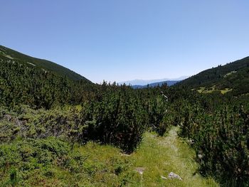 Scenic view of landscape against clear sky