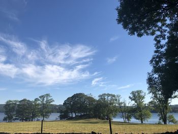 Trees on field against sky