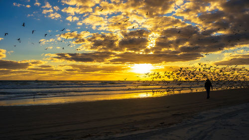 Silhouette person on beach against sky during sunset