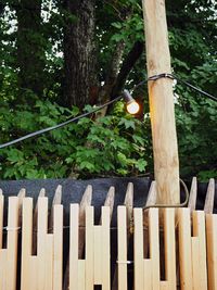 Wooden fence with trees in background