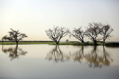 Scenic view of lake against clear sky