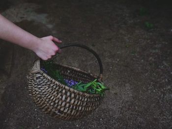 High angle view of hand holding wicker basket