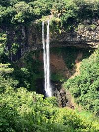 Scenic view of waterfall in forest