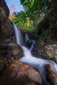 Scenic view of waterfall in forest