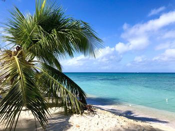 Tropical paradise at saona island, dominican republic