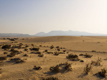 Scenic view of desert against clear sky