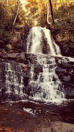 Waterfall in forest