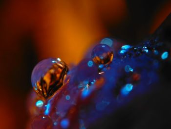 Close-up of multi colored water drop