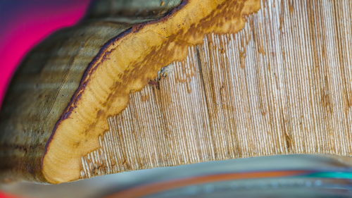 Close-up of fork on wood