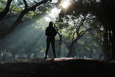 Rear view of man standing by trees in forest