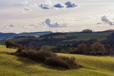 Scenic view of landscape against sky