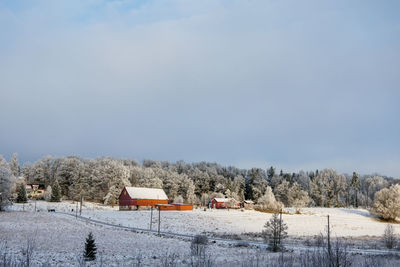 Trees and houses on field against sky during winter