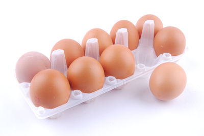 High angle view of eggs against white background