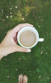 High angle view of people holding coffee cup on grassy field