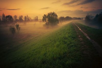 Scenic view of field against sky during sunset