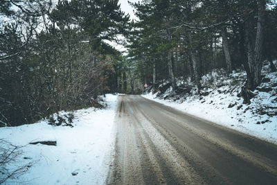 Snow covered road amidst trees during winter