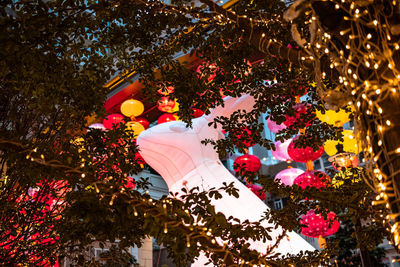 Low angle view of illuminated lanterns hanging on tree