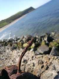 Close-up of rock on beach against sky
