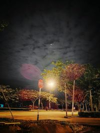 Illuminated fireworks against sky at night