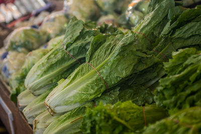 Close-up of green leaves for sale in market